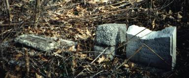 Image of three small and broken grave stones in heavy weeds