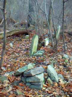 View of burial ground and tumbled down wall.